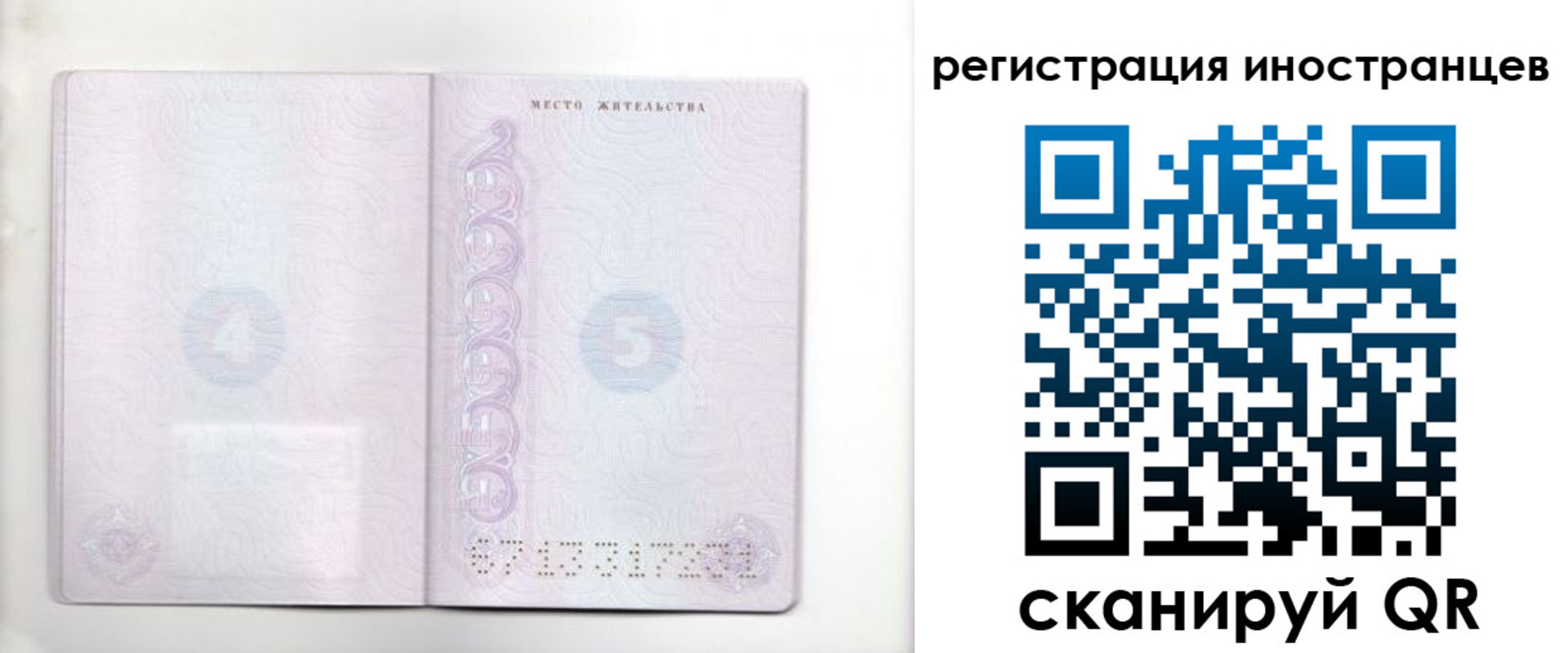 временная регистрация в Волосово